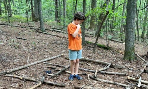 August 3-7: Maze Masters Photo Gallery