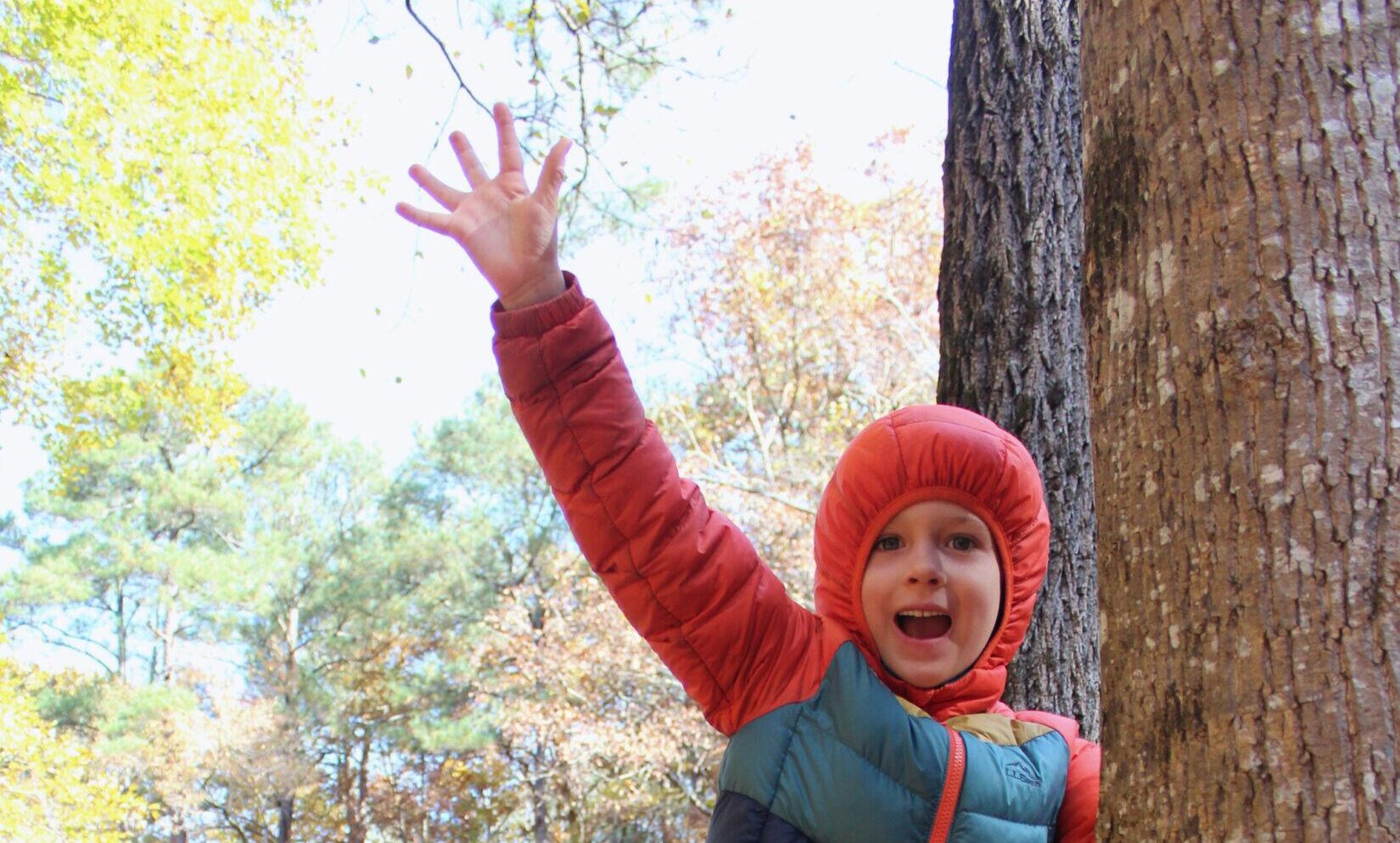 5581cf7b-49a6-4300-9527-2c23607f9708[Spring-Fall Boy Tree Climbing]