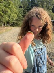 55579085741_b1b7b9105b_k